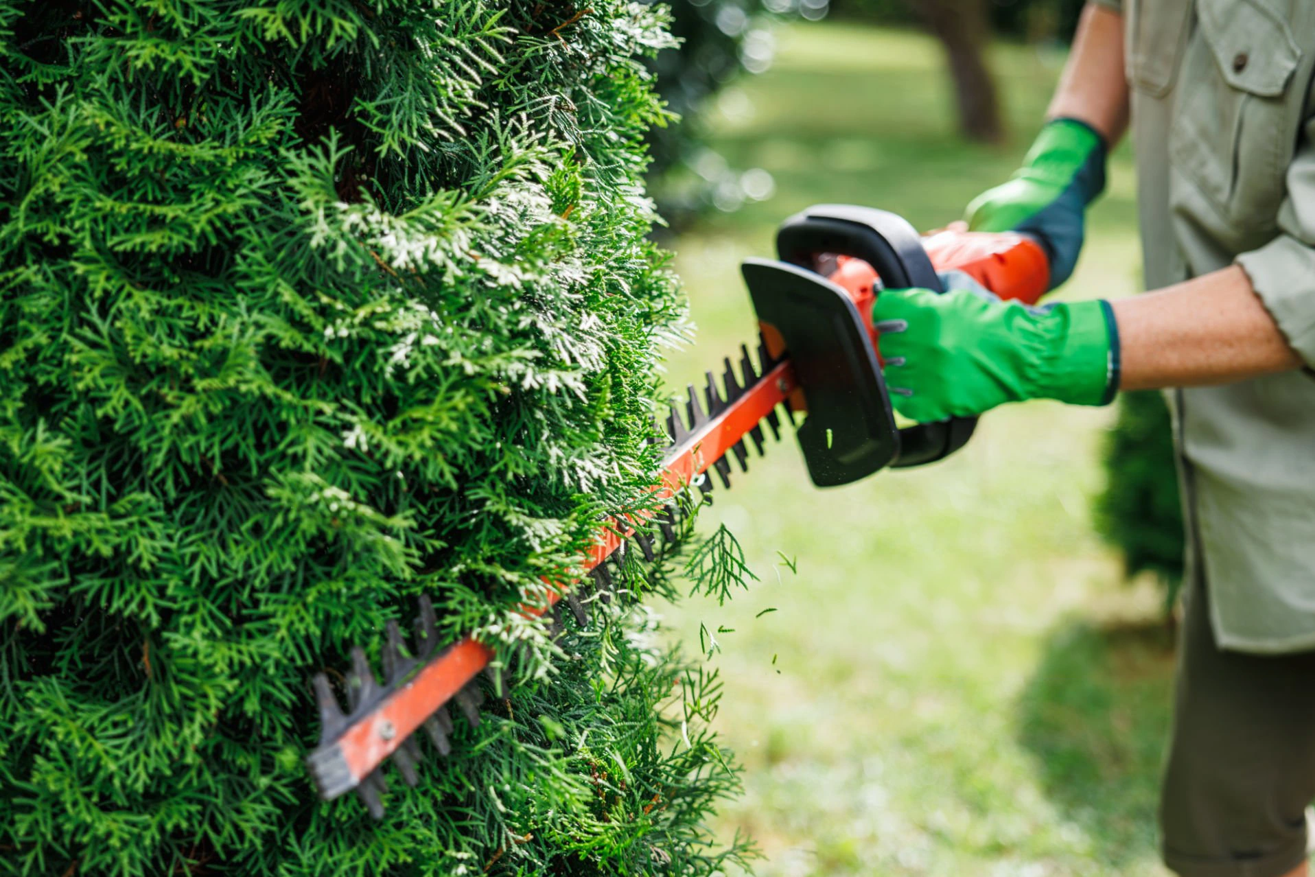 Bush and hedge trimming around a residential landscape