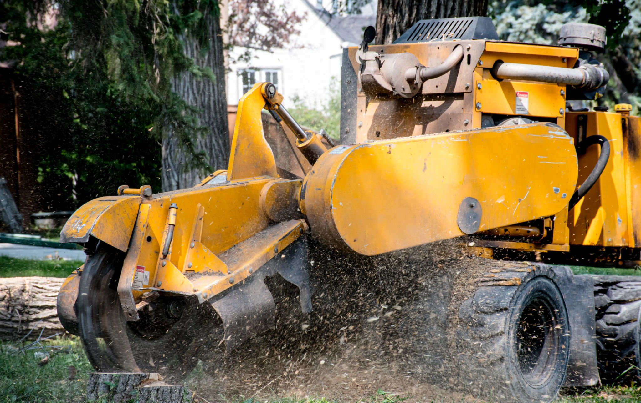 tree work florida stump grinding project around a residential outdoor area