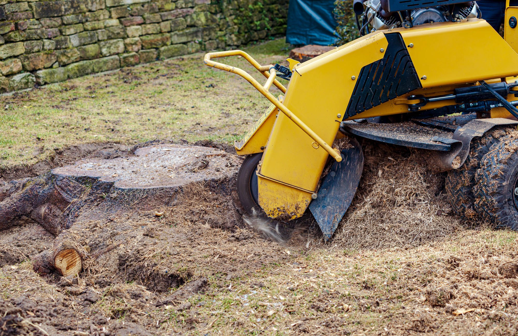 Stump grinding planned around fences and landscape access