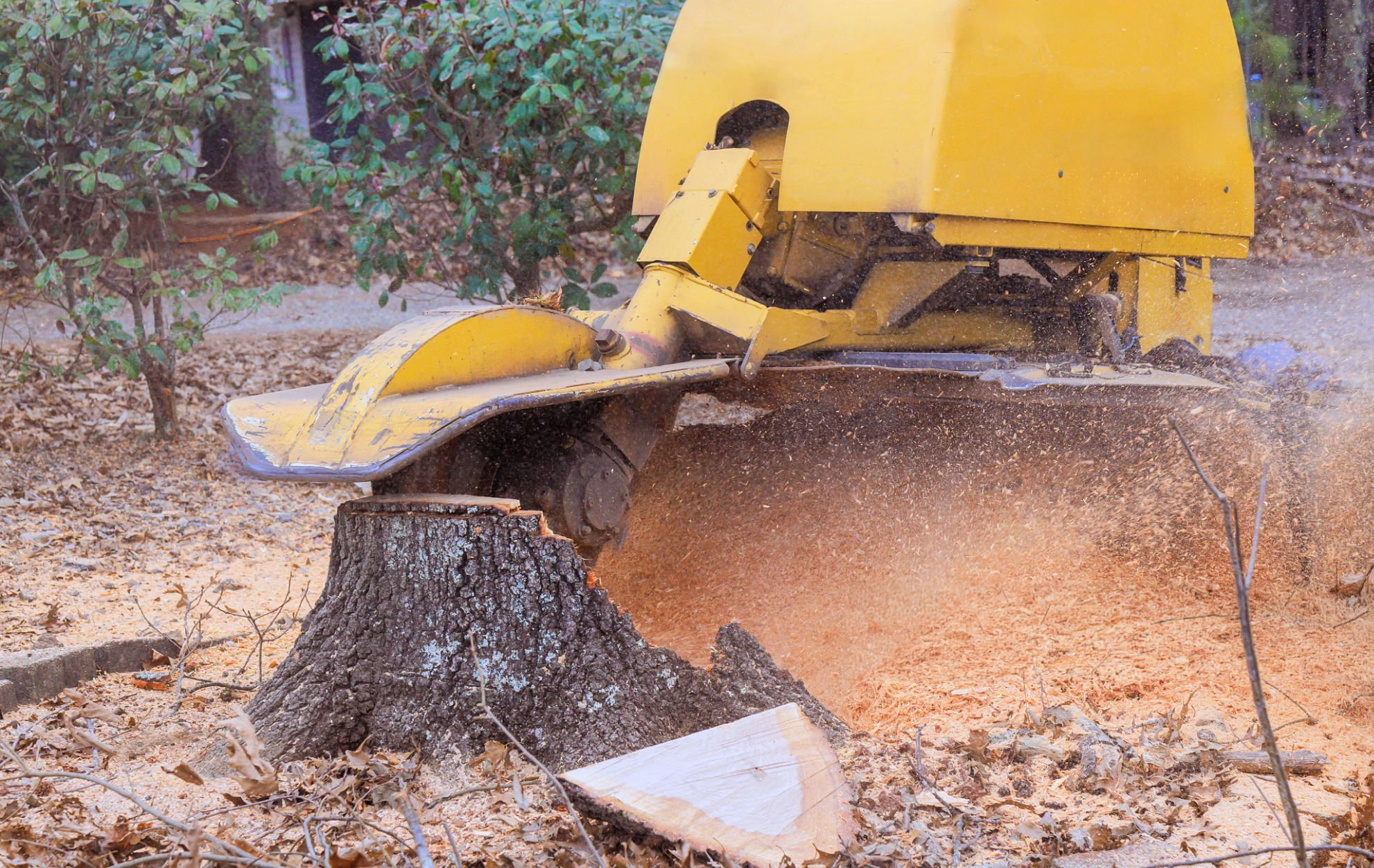 Stump grinding work clearing a remaining tree stump